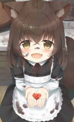 Rule 34 | 1girl, animal ear fluff, animal ears, apron, black dress, blush, brown eyes, brown hair, candy, child, chocolate, chocolate heart, dog ears, dog girl, dog tail, dress, fang, food, from above, heart, highres, long hair, looking at viewer, looking up, open mouth, original, own hands together, psyche3313, smile, solo, tail, valentine, white apron, white sleeves