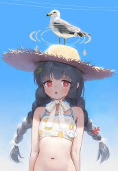 Rule 34 | 1girl, animal, bare arms, bare shoulders, bikini, bird, black hair, blue archive, blue sky, blunt bangs, blush, braid, cloud, collarbone, day, flat chest, grey halo, hair ornament, hair ribbon, halo, hat, highres, leaf, leaf on head, leaf print, long hair, looking at viewer, miyu (blue archive), miyu (swimsuit) (blue archive), navel, nervous smile, nervous sweating, open mouth, outdoors, print bikini, red eyes, ribbon, seagull, shtauffen, sky, smile, solo, stomach, straw hat, sun hat, sweat, sweatdrop, swimsuit, twin braids, twintails, upper body, very sweaty, white bikini