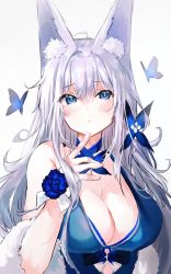 Rule 34 | 1girl, animal ear fluff, animal ears, azur lane, bare shoulders, blue butterfly, blue collar, blue dress, blue eyes, blush, breasts, bug, butterfly, cleavage, collar, dress, feather boa, finger to own chin, fox ears, fox girl, grey hair, hair between eyes, hair ornament, halter dress, halterneck, highres, insect, irohatomo, large breasts, long hair, shinano (azur lane), shinano (dreams of the hazy moon) (azur lane), simple background, solo, upper body, wrist flower