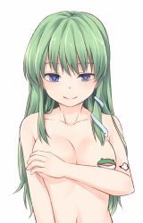 Rule 34 | 1girl, puff of air, blue eyes, breasts, censored, censored nipples, collarbone, commentary request, covering privates, covering breasts, frog, green hair, hair ornament, kochiya sanae, long hair, looking at viewer, medium breasts, miyo (ranthath), navel, novelty censor, nude, sidelocks, simple background, smile, snake hair ornament, solo, stomach, touhou, upper body, white background