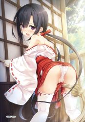 Rule 34 | 1girl, absurdres, artist name, ass, between legs, black hair, blush, breasts, broom, crotch rub, cura, dripping, female masturbation, frontal wedgie, hayase fukami, highres, holding, holding broom, japanese clothes, kneepits, light rays, long hair, looking at viewer, looking back, maitetsu, masturbation, masturbation through clothes, miko, nipples, nose blush, off shoulder, open mouth, panties, partially visible vulva, pussy juice, ribbon-trimmed legwear, ribbon-trimmed sleeves, ribbon trim, scan, small breasts, solo, tears, thighhighs, twintails, underwear, wedgie, white panties, white thighhighs