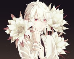 Rule 34 | 1other, appleurchin, black background, flower, hair between eyes, hair tubes, hand on own arm, hand up, looking at viewer, pale skin, parted lips, red eyes, seikaisuru kado, short hair, short hair with long locks, solo, upper body, white flower, white hair, yaha-kui zashunina