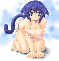 Rule 34 | 1girl, :&lt;, all fours, animal ears, barefoot, bell, bikini, blue eyes, blue hair, breasts, breasts squeezed together, cat ears, cat tail, cleavage, collar, dd (ijigendd), large breasts, matching hair/eyes, neck bell, short hair, side-tie bikini bottom, solo, striped bikini, striped clothes, swimsuit, tail