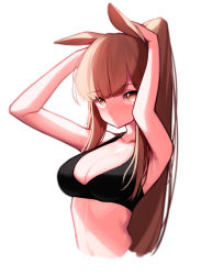 Rule 34 | 1girl, absurdres, animal ears, arknights, beudelb, black bra, blemishine (arknights), bra, breasts, brown hair, cleavage, cropped torso, hands up, highres, horse ears, large breasts, looking at viewer, navel, ponytail, simple background, solo, stomach, underwear, white background, yellow eyes