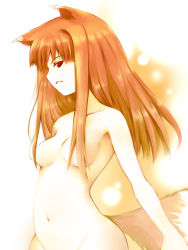 Rule 34 | 00s, 1girl, animal ears, brown hair, hair censor, hair over breasts, holo, long hair, nude, red eyes, solo, spice and wolf, taha, tail, wolf ears, wolf tail