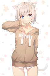 Rule 34 | 1girl, animal ear fluff, animal ears, arm behind back, arm up, blue eyes, blush, brown jacket, cat ears, cat girl, cat tail, closed mouth, collarbone, commentary request, cowboy shot, drawstring, floral background, gluteal fold, highres, hood, hood down, hooded jacket, jacket, long sleeves, nijihashi sora, no pants, original, panties, short hair, silver hair, smile, solo, tail, tareme, underwear, white background, white panties, zipper, zipper pull tab