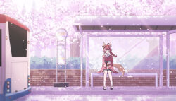 1girl absurdres ahoge animal_ear_fluff animal_ears black_footwear braid bus bus_stop bus_stop_sign cherry_blossoms closed_eyes closed_mouth commentary_request day facing_viewer flower fox_ears fox_girl fox_tail highres japanese_clothes kimono long_hair motor_vehicle original outdoors red_flower red_hair red_kimono sandals shirt single_braid sitting socks solo synn032 tabi tail tree white_shirt white_socks zouri