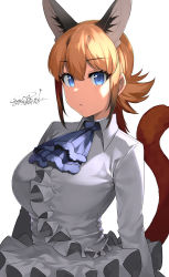 Rule 34 | 1girl, alternate costume, animal ear fluff, animal ears, ascot, blue ascot, blue eyes, breasts, caracal (kemono friends), commentary, dated, dress, expressionless, extra ears, hair between eyes, happa (cloverppd), highres, kemono friends, large breasts, long hair, long sleeves, looking at viewer, orange hair, signature, simple background, solo, tail, upper body, white background, white dress, wing collar