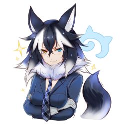 Rule 34 | 10s, 1girl, animal ears, black hair, blue eyes, breasts, crossed arms, fur collar, gloves, grey wolf (kemono friends), heterochromia, highres, japari symbol, kemono friends, long hair, long sleeves, looking at viewer, medium breasts, multicolored hair, necktie, silver hair, simple background, smile, solo, sukemyon, tail, two-tone hair, upper body, white background, wolf ears, wolf tail, yellow eyes