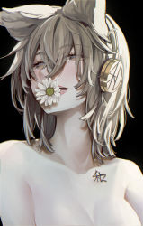 Rule 34 | 1girl, bad id, bad twitter id, black background, blush, breasts, brown eyes, chest tattoo, collarbone, earmuffs, eyelashes, flower, hair between eyes, highres, light brown hair, lips, looking at viewer, medium breasts, mouth hold, nude, open mouth, out-of-frame censoring, pointy hair, short hair, simple background, solo, syuri22, tattoo, teeth, tongue, topless, touhou, toyosatomimi no miko, upper body, white flower