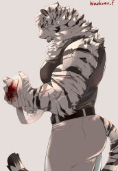 Rule 34 | 1boy, animal ears, arknights, ass, bad id, bad twitter id, bandaged hand, bandages, bara, black tank top, blood, blood on hands, from side, furry, furry male, hinokumo f, male focus, mountain (arknights), muscular, muscular male, pants, pectorals, scar, scar across eye, scar on face, short hair, solo, tail, tank top, thick thighs, thighs, tiger boy, tiger ears, tiger tail, white fur, white hair, white pants