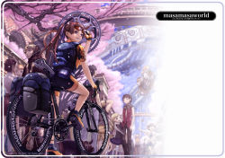 Rule 34 | 6+boys, 6+girls, bicycle, cherry blossoms, from behind, full body, looking at viewer, masakichi, multiple boys, multiple girls, original, outdoors, plant, riding, spring (season), standing, thighhighs, thighs, tree, vehicle, white legwear