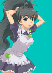 Rule 34 | 1girl, adjusting hair, antenna hair, apron, arms up, black hair, blue eyes, breasts, female focus, frog, ganaha hibiki, idolmaster, idolmaster (classic), long hair, looking at viewer, maid, maid apron, mikel (4hands), mouth hold, ponytail, simple background, solo, wrist cuffs