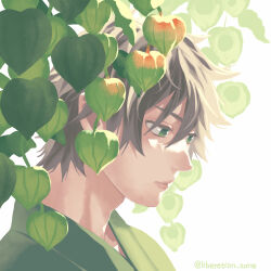 Rule 34 | 1boy, black hair, chinese lantern (plant), commentary request, expressionless, green eyes, green kimono, hair between eyes, highres, iwatani naofumi, japanese clothes, kimono, looking down, male focus, minami seira, parted lips, plant request, profile, short hair, sidelocks, solo, tate no yuusha no nariagari, twitter username, white background