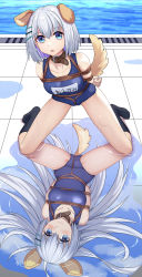 Rule 34 | animal ears, arms behind back, bare shoulders, bdsm, black legwear, blue eyes, blue one-piece swimsuit, blush, bondage, bound, bound arms, breasts, collar, commentary request, crotch rope, date a live, day, dual persona, embarrassed, expressionless, haimei1980, hair ornament, hairclip, highres, kneeling, leaning forward, legs apart, long hair, looking at viewer, medium breasts, medium hair, one-piece swimsuit, outdoors, pool, reflection, shibari, silver hair, slave, staring, swimsuit, tail, thighs, tobiichi origami, very long hair, wet