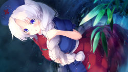 Rule 34 | 1girl, blue eyes, braid, dress, gengetsu chihiro, hat, highres, long hair, looking at viewer, multicolored clothes, multicolored dress, nurse cap, parted lips, plant, puffy short sleeves, puffy sleeves, short sleeves, solo, touhou, water, white hair, yagokoro eirin