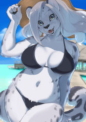 Rule 34 | 1girl, animal ears, animal nose, bikini, black bikini, blue sky, body fur, breasts, brown hat, cloud, collarbone, commentary, day, eyes visible through hair, furry, furry female, hand on headwear, hat, highres, kikurage (crayon arts), large breasts, long hair, looking at viewer, navel, ocean, open mouth, original, outdoors, sky, smile, solo, swimsuit, tail, white fur, white hair, yellow eyes