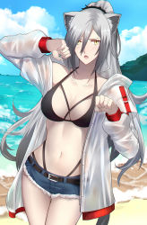 Rule 34 | 1girl, animal ears, arknights, arm up, beach, belt, bikini, bikini top only, bikini under clothes, black belt, black bikini, blue shorts, blue sky, breasts, cat ears, clothes pull, cloud, cowboy shot, cutoffs, day, denim, denim shorts, fang, hair between eyes, hair over eyes, halterneck, highleg, highleg bikini, highres, jacket, jacket pull, large breasts, long hair, looking at viewer, multi-strapped bikini, navel, open clothes, open jacket, open mouth, outdoors, paw pose, ponytail, sand, schwarz (arknights), scrunchie, see-through, shigure s, short shorts, shorts, sidelocks, silver hair, sky, solo, stomach, swimsuit, thighs, tooth, very long hair, water, white jacket, yellow eyes