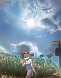 Rule 34 | 1girl, absurdres, arknights, commentary request, dated, dress, feathered wings, feathers, field, gaoling gangqin, hat, head wings, highres, holding, long braid, long hair, low-tied long hair, mulberry (arknights), outdoors, power lines, sky, solo, sun, sun hat, very long hair, white dress, white feathers, white hair, white wings, wings