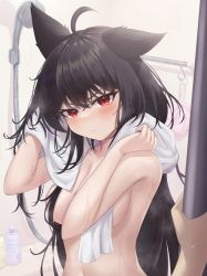 Rule 34 | 1girl, ahoge, animal ear fluff, animal ears, black hair, blush, braid, breasts, commentary request, drying, drying hair, fox ears, fox girl, hair between eyes, highres, holding, holding towel, hololive, kurokami fubuki, long hair, looking at viewer, medium breasts, nekorone0222, nude, pout, pov, pov hands, red eyes, shower (place), shower head, sidelocks, single braid, steam, towel, towel around neck, virtual youtuber, wet