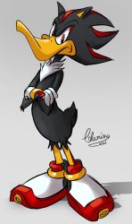 Rule 34 | 1boy, 2021, clarissa arts, cosplay, crossed arms, daffy duck, furry, furry male, fusion, gloves, grey background, highres, looking to the side, looney tunes, red eyes, shadow, shadow the hedgehog, signature, simple background, solo, sonic (series), white footwear, white gloves