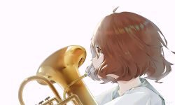 Rule 34 | 1girl, ahoge, backlighting, bad id, bad pixiv id, brown eyes, brown hair, chinese commentary, commentary, euphonium, from side, hibike! euphonium, highres, holding, holding instrument, instrument, looking to the side, neckerchief, oumae kumiko, parted lips, portrait, sailor collar, school uniform, serafuku, short hair, simple background, solo, white background, zifu z