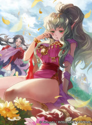 Rule 34 | 2girls, black eyes, black hair, bracelet, breasts, bruise, cape, dress, fire emblem, fire emblem awakening, fire emblem cipher, flower, green eyes, green hair, hair ornament, hand on own face, headband, injury, jewelry, large breasts, long hair, looking at another, mayo (becky2006), motion blur, multiple girls, nintendo, official art, outdoors, petals, pink dress, pointy ears, ponytail, ring, say&#039;ri (fire emblem), short dress, side slit, sitting, solo focus, statue, tears, thighs, tiki (adult) (fire emblem), tiki (fire emblem)