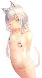 Rule 34 | 1girl, 1other, ;(, absurdres, animal ear fluff, animal ears, aoinu (aoinu 99), arknights, arms behind back, bare shoulders, bikini, blue bikini, blush, breasts, cat ears, cat girl, cat tail, closed mouth, collarbone, commentary request, cowboy shot, female focus, green eyes, grey background, highres, id card, long hair, looking at viewer, micro bikini, navel, one eye closed, peeking out, rhodes island logo (arknights), rosmontis (arknights), safety pin, silver hair, simple background, small breasts, solo, stomach, swimsuit, tail, white background