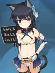 Rule 34 | 1girl, alice gear aegis, animal ears, armor, bikini armor, black gloves, blue eyes, blue hair, breasts, cat ears, cat tail, collarbone, commentary request, cowboy shot, dark blue hair, elbow gloves, female focus, flower, garter straps, gloves, greaves, hair flower, hair ornament, hand on own hip, kemonomimi mode, koashi mutsumi, looking at viewer, navel, shimada fumikane, skindentation, small breasts, solo, striped, tail, vambraces