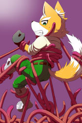 Rule 34 | 1boy, angry, belt, boots, fox mccloud, furry, furry male, gloves, green eyes, highres, male focus, nintendo, restrained, solo, star fox, sweat, tentacles