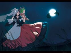 Rule 34 | 4girls, animal ears, artist name, backlighting, breasts, brooch, brown hair, commentary request, cover, dog ears, dress, english text, floating, fox tail, full moon, futatsuiwa mamizou, grass, green eyes, green hair, hair between eyes, hands up, height difference, highres, holding hands, imaizumi kagerou, jewelry, kasodani kyouko, letterboxed, long hair, long sleeves, looking afar, medium breasts, moon, moonlight, multicolored clothes, multicolored dress, multiple girls, multiple tails, namauni, night, night sky, outdoors, pink dress, raccoon tail, red dress, red eyes, shawl, short hair, silhouette, sky, smile, star (sky), star (symbol), tail, title, touhou, white dress, wide sleeves, wind, wolf ears, yakumo ran