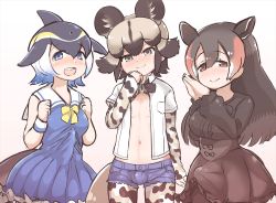Rule 34 | 1boy, 2girls, african wild dog (kemono friends), animal ear fluff, animal ears, blue dress, blue eyes, bow, breasts, brown eyes, bulge, clenched hand, common dolphin (kemono friends), dress, futanari, kemono friends, long hair, long sleeves, looking at viewer, mountain tapir (kemono friends), multiple girls, navel, open mouth, short hair, short sleeves, shorts, simple background, smile, tanaka kusao, teeth, translation request, trap, unbuttoned, unbuttoned shirt, upper teeth only, wristband, yellow bow