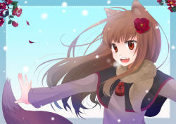Rule 34 | 00s, 1girl, animal ears, bad id, bad pixiv id, brown hair, chocho (homelessfox), fang, female focus, flower, gradient background, hair flower, hair ornament, holo, scarf, snow, solo, spice and wolf, tail, winter, wolf ears, wolf tail