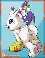 Rule 34 | 1girl, :3, all fours, animal ears, animal feet, animal hands, animal nose, anus, artist name, ass, blue background, blue eyes, blush, blush stickers, body fur, border, cat ears, cat girl, cat tail, cleft of venus, digimon, digimon (creature), fang, female focus, from behind, fur-tipped tail, furry, furry female, gloves, gold, happy, kneepits, legs, looking at viewer, looking back, multicolored border, nude, open mouth, patreon logo, patreon username, paw gloves, pawpads, presenting, profile, pussy, rockthebull, simple background, smile, solo, tail, tail ornament, tail raised, tail ring, tailmon, thighs, uncensored, watermark, web address, whiskers, white fur, yellow gloves