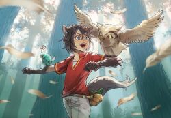 Rule 34 | 1boy, animal ears, belt, bird, black hair, blue eyes, chocotto land, falling feathers, fang, fanny pack, feathers, flower, flower on head, forest, ico6, male focus, nature, open mouth, owl, pants, red shirt, scenery, shirt, silhouette, tail, teeth, tree, white pants, wings