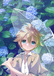 Rule 34 | 1boy, aqua eyes, beige jacket, blonde hair, blue flower, commentary, floral background, flower, hekicha, highres, holding, holding umbrella, hydrangea, kagamine len, leaf, looking at viewer, male focus, parted lips, plant, shirt, short sleeves, spiked hair, transparent, transparent umbrella, umbrella, upper body, vocaloid, water drop, white shirt