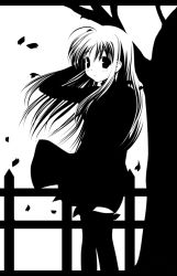 Rule 34 | 1girl, fence, greyscale, long hair, monochrome, original, petals, renga michi, solo, thighhighs, wind