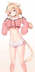 Rule 34 | 1girl, :t, animal ears, bare legs, blonde hair, cat ears, cat girl, cat tail, crop top, disembodied hand, facepaint, highres, indie virtual youtuber, lifting person, longcat (meme), meemo, meme, midriff, navel, red eyes, short hair, short shorts, shorts, shyrei faolan, sleeves past wrists, stomach, tail, thighs, virtual youtuber