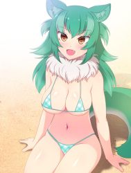 Rule 34 | 1girl, :d, alternate color, animal ear fluff, animal ears, aqua bikini, aqua hair, arms at sides, bad id, bad pixiv id, bare arms, bare shoulders, bikini, blush, breasts, brown eyes, character request, cleavage, fang, highres, kemono friends, large breasts, long hair, looking at viewer, micro bikini, navel, on ground, open mouth, plaid, plaid bikini, sand, sitting, skindentation, smile, solo, swimsuit, tail, thighhighs, totokichi