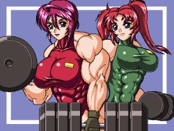 Rule 34 | 00s, 2girls, abs, breasts, dumbbell, exercising, extreme muscles, female focus, gundam, gundam seed, lowres, lunamaria hawke, meyrin hawke, multiple girls, muscular, ren (tainca2000), weightlifting, weights