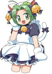 Rule 34 | 1girl, animal ears, animal hands, animal hat, apron, bell, bow, cat ears, cat hat, cat tail, cocia (kosianko), dejiko, di gi charat, dress, gloves, green eyes, green hair, hair bell, hair ornament, hashtag-only commentary, hat, jingle bell, maid apron, neck bell, open mouth, paw gloves, short hair, short sleeves, smile, solo, tail, tail bow, tail ornament