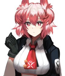 Rule 34 | 1girl, arknights, ascot, black gloves, black jacket, blue sealad, breasts, fiammetta (arknights), gloves, hair between eyes, hand up, highres, jacket, large breasts, looking at viewer, open clothes, open jacket, pink eyes, pink hair, pointy hair, red ascot, shirt, short hair, simple background, solo, upper body, white background, white shirt