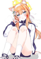 Rule 34 | 1girl, animal ear fluff, animal ears, atto silia, black jacket, blue archive, blue eyes, blush, flower, hair flower, hair ornament, hair ribbon, hairband, halo, highres, jacket, looking at viewer, mari (blue archive), mari (track) (blue archive), multicolored clothes, multicolored jacket, parted lips, ponytail, ribbon, simple background, sitting, socks, solo, sweat, track jacket, two-tone jacket, white background, white flower, white hairband, white jacket, white ribbon, white socks