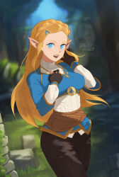 Rule 34 | 1girl, artist name, barleyshake, black gloves, black pants, blonde hair, blue eyes, blue sky, blurry, blurry background, braid, cowboy shot, fingerless gloves, gloves, grass, hair ornament, hairclip, highres, long hair, long sleeves, looking at viewer, nintendo, open mouth, pants, pointy ears, princess zelda, sky, solo, stone wall, the legend of zelda, the legend of zelda: breath of the wild, very long hair, wall