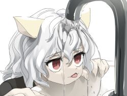 Rule 34 | 1other, animal ears, cat ears, fangs, fingernails, grey hair, hair between eyes, highres, hunter x hunter, neferpitou, open mouth, red eyes, sharp fingernails, short hair, simple background, sink, skin fangs, solo, tenshinhannnn, tongue, tongue out, water, white background