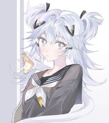 Rule 34 | + +, 1girl, alchemy stars, black shirt, blush, breasts, florine (alchemy stars), grey eyes, grey hair, hair ornament, highres, long hair, long sleeves, looking at viewer, mole, mole under eye, nao (naooo 1230), neckerchief, parted lips, sailor collar, shirt, small breasts, snake, solo, two side up, upper body, white neckerchief