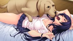 Rule 34 | 1girl, bestiality, dog, french kiss, game cg, hechima (hechima), hechima ni koi suru joshikousei -jk&times;jk-, kiss, long hair, sex, shiina alice