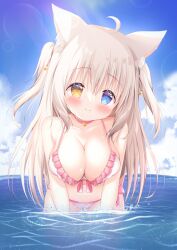 Rule 34 | 1girl, ahoge, animal ear fluff, animal ears, bikini, blue eyes, blue sky, blush, breasts, brown hair, cat ears, character request, cleavage, closed mouth, cloud, commentary request, day, frilled bikini, frills, front-tie bikini top, front-tie top, head tilt, heterochromia, highres, horizon, indie virtual youtuber, large breasts, leaning forward, long hair, navel, ocean, outdoors, renew vivi, side-tie bikini bottom, sky, smile, solo, swimsuit, two side up, very long hair, virtual youtuber, water, white bikini, yellow eyes