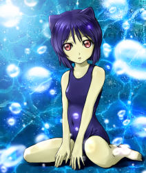 Rule 34 | 1girl, animal ears, aq interactive, arcana heart, artist request, blue hair, breasts, collarbone, daidouji kira, examu, feet, full body, hair between eyes, highres, looking at viewer, open mouth, parted lips, school swimsuit, short hair, sitting, small breasts, swimsuit, wariza, water, yellow eyes