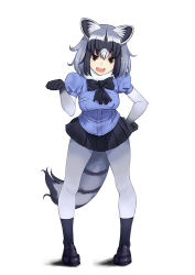 Rule 34 | 10s, 1girl, animal ears, black hair, black skirt, bow, bowtie, breasts, common raccoon (kemono friends), elbow gloves, full body, fur collar, fur trim, gloves, gradient clothes, gradient legwear, grey gloves, grey hair, grey pantyhose, kemono friends, loafers, looking at viewer, marubonman, medium breasts, multicolored clothes, multicolored legwear, open mouth, pantyhose, paw pose, pleated skirt, raccoon ears, raccoon tail, shoes, short hair, simple background, skirt, smile, solo, striped tail, tail, white background